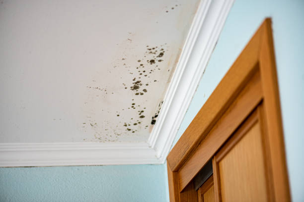 Water Damage Restoration in Goddard, KS
